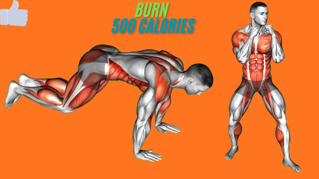 15 Min Combat Cardio & Core Workout At Home
