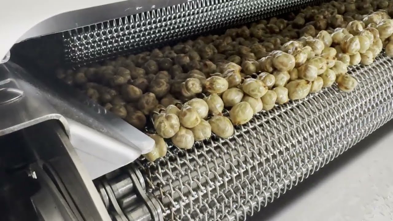 Friggitrice automatica a flusso continuo per Snack | Veneto Macchine
