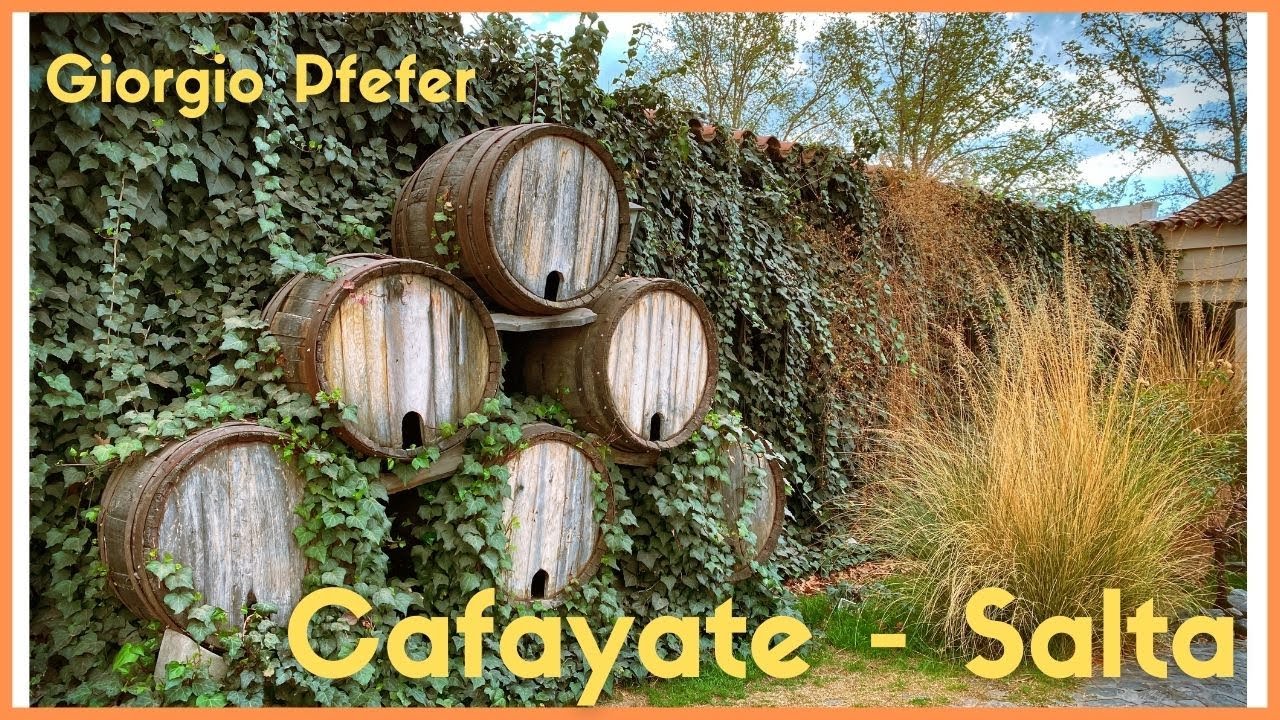 Visitando Bodegas en Cafayate