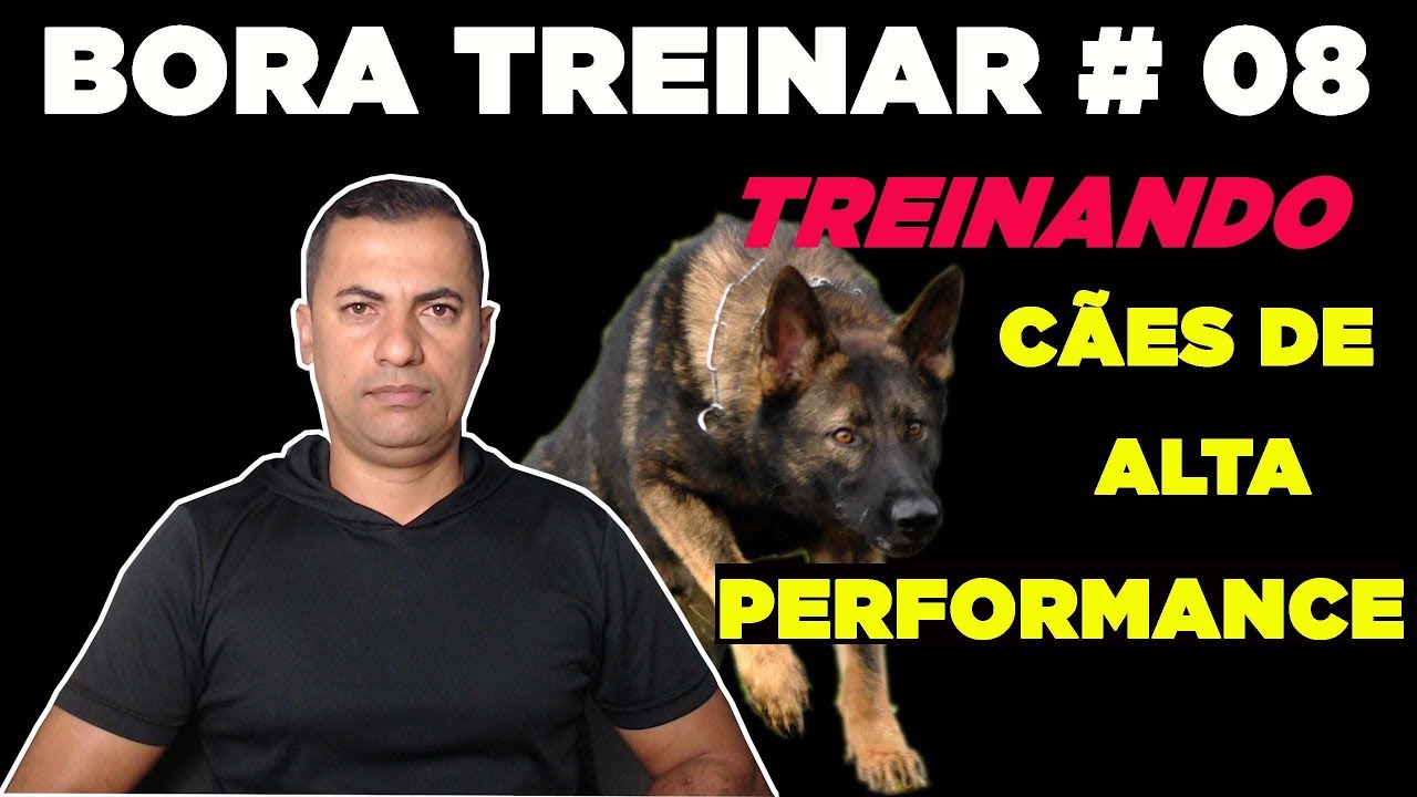 BORA TREINAR #08 - TREINO DE ALTA PERFORMANCE PARA CÃES