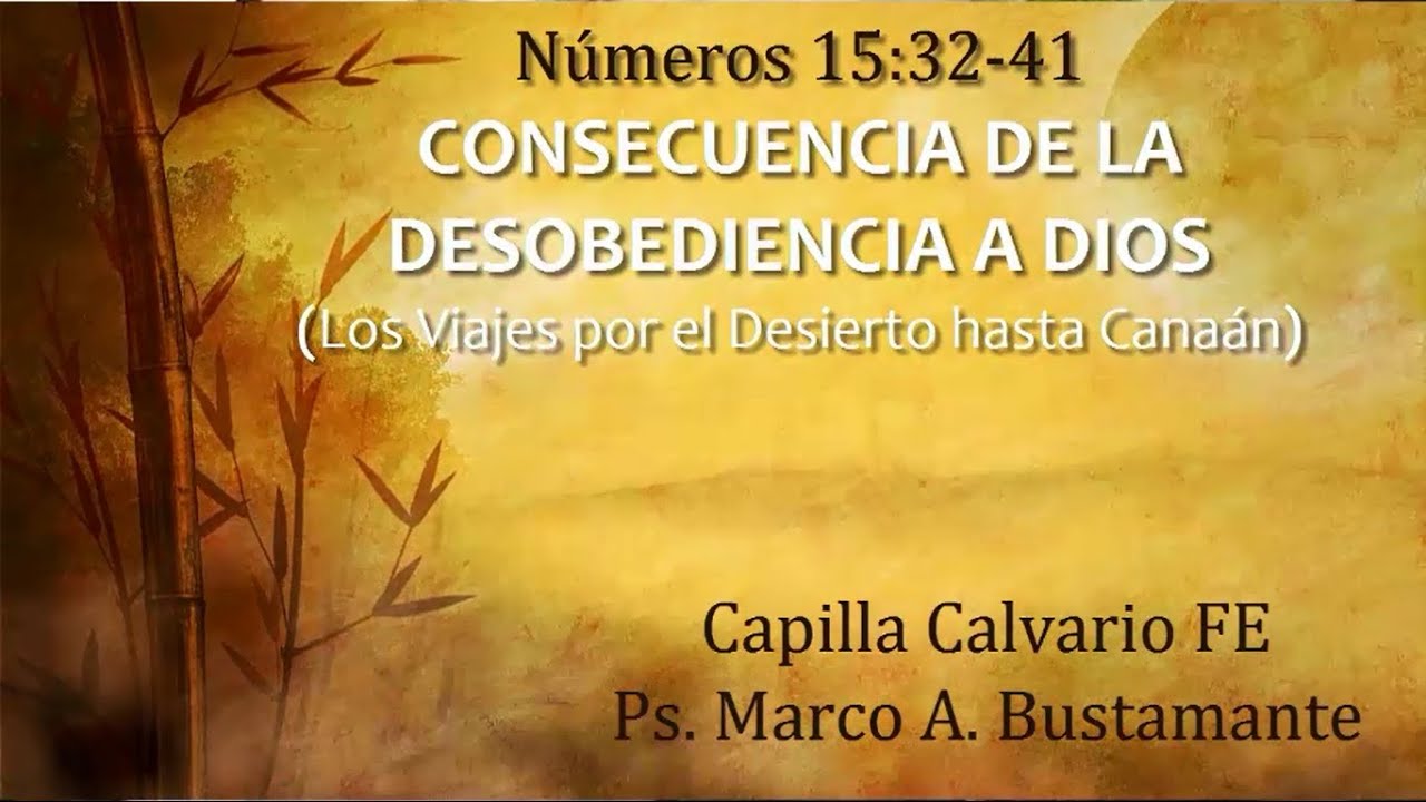 Números 15:32-41 - CONSECUENCIA DE LA DESOBEDIENCIA A DIOS