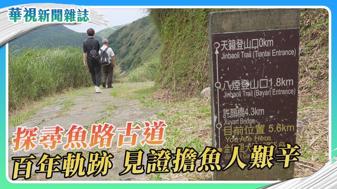 【探尋古道】走讀陽明山國家公園 魚路古道｜記者 游凱茹 柯冠丞｜華視新聞雜誌｜EP2462單元3 2025.5.31