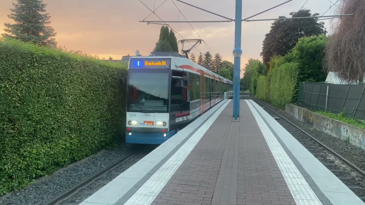 moBiel M8D 589 & 567 / Linie 1 Brackwede Bahnhof