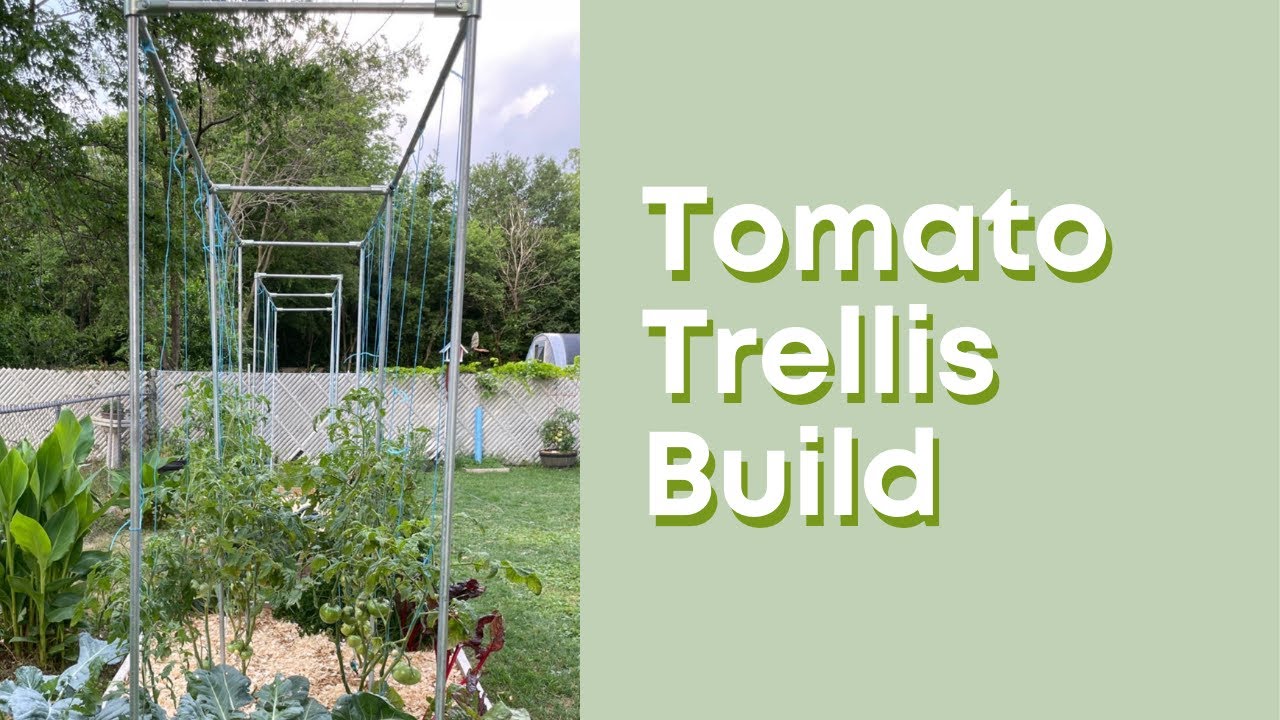Tomato Trellis Build | How to BUILD YOUR OWN Tomato Trellis Using MakerPipe Steel Connectors!