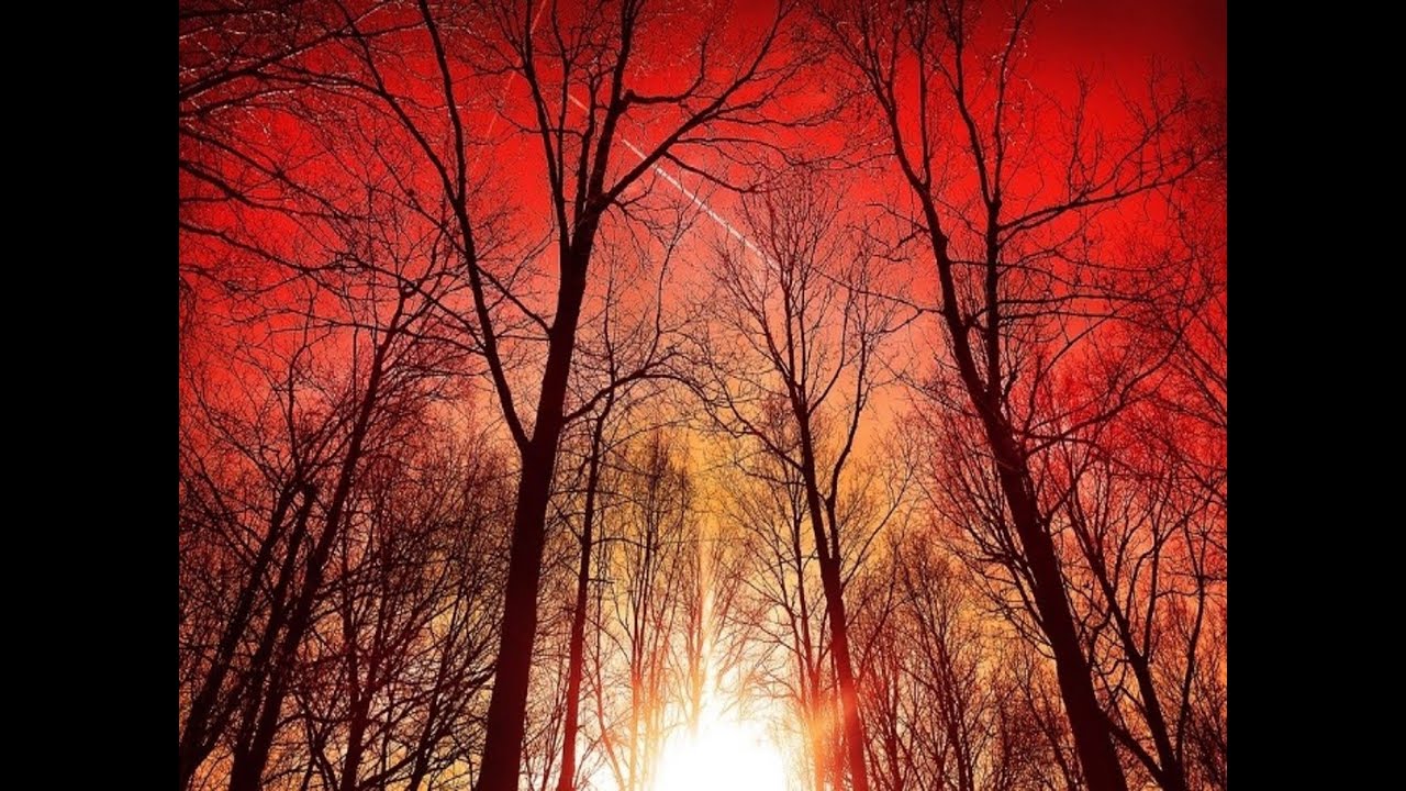 2.3.20 - Season of Imbolc - Awakening