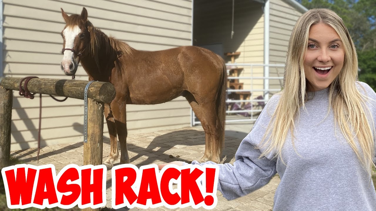 BUILDING THE OUTDOOR WASH RACK | BUILDING MY DREAM HORSE BARN PART 22!