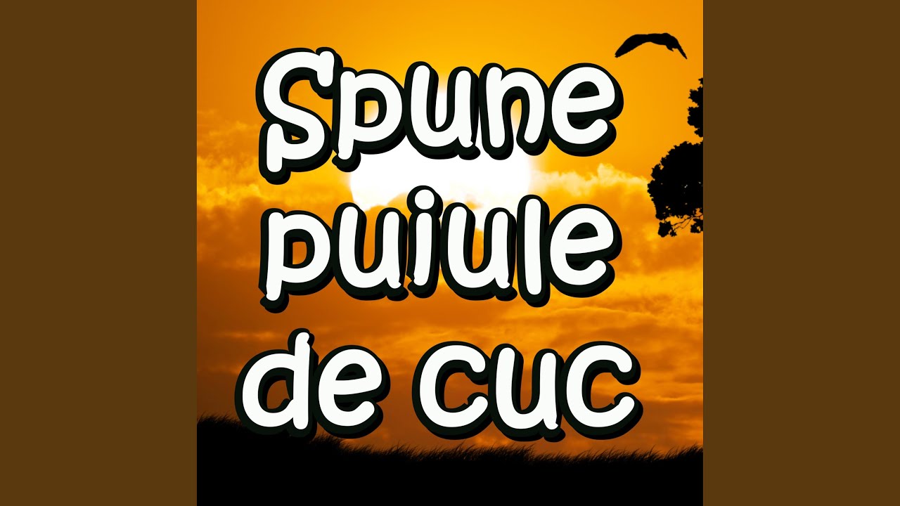 Spune unde-s anii mei