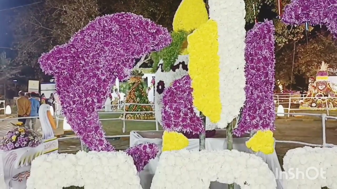 Visakha utsav flower show Central Park 2026 #ytvideos#nenumiteluguammayi6