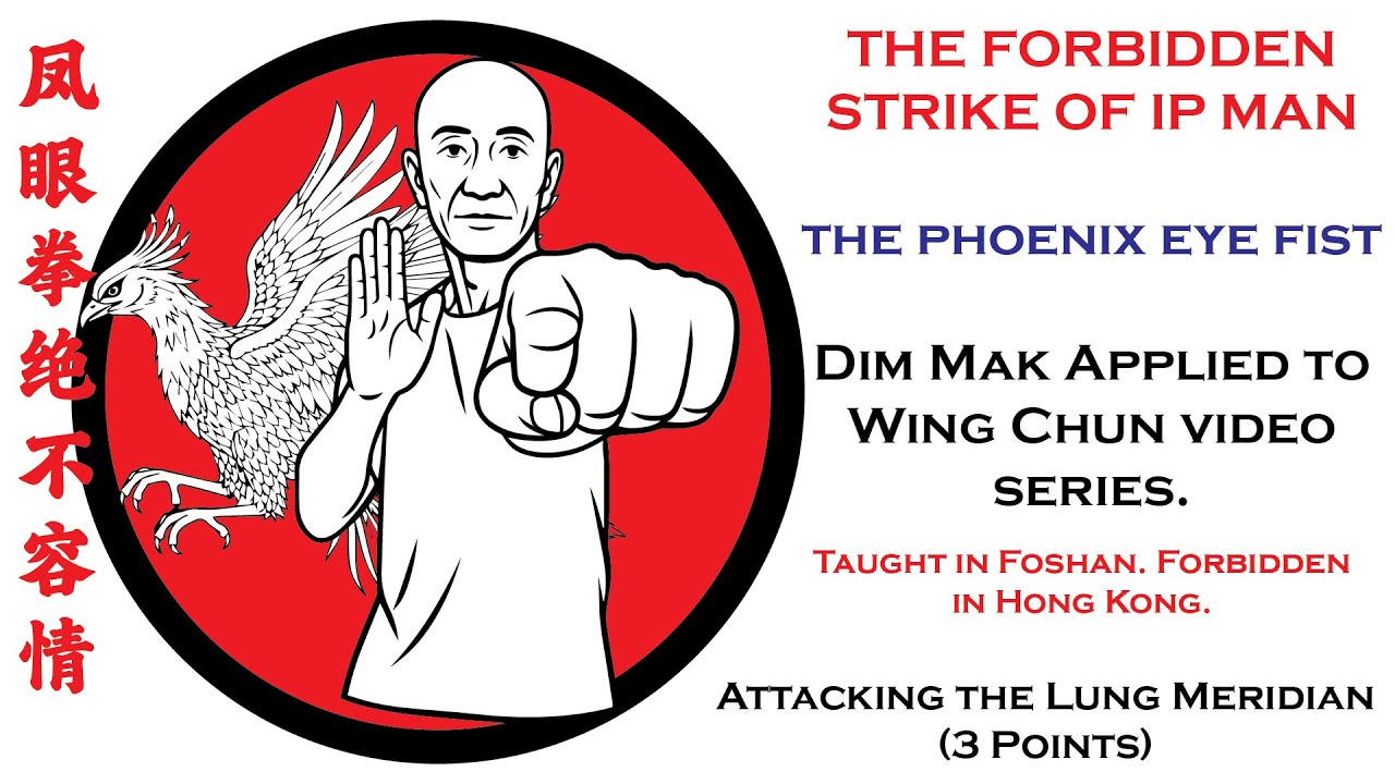 Hun Yuan Video Series: Dim Mak Applied to Wing Chun- Video 1: Attacking the Lung Meridian (3 Points)