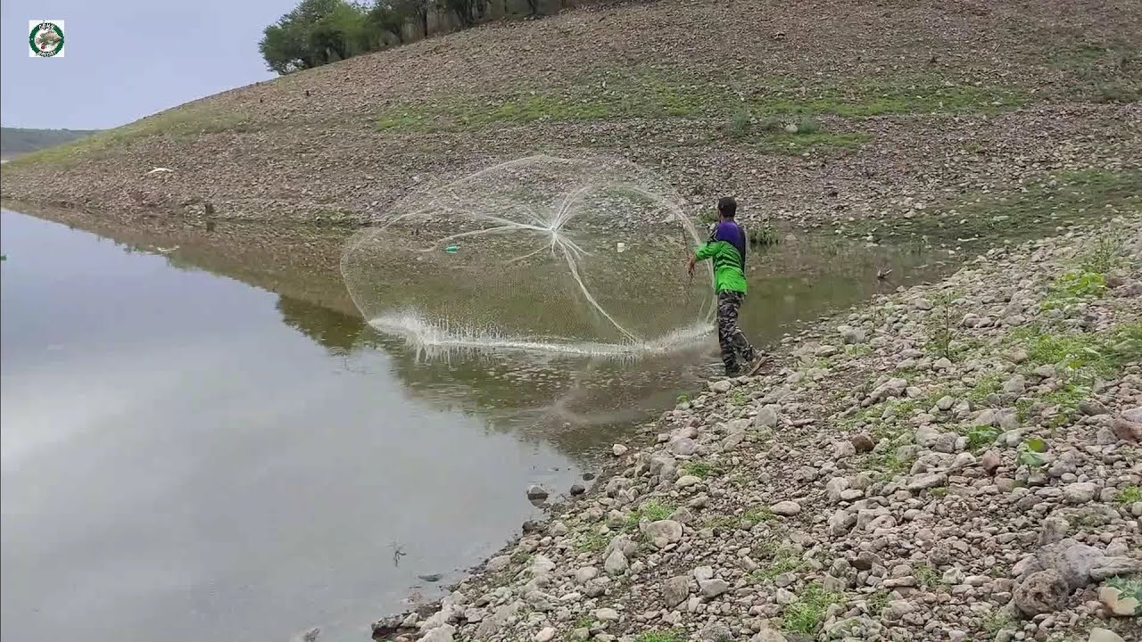 No lo vas va creer pura tilapia gigante en estos arroyos