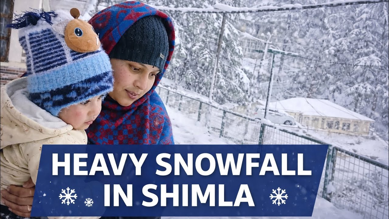 Heavy Snowfall in Shimla ❄️ | Beautiful Winter Views | Neetu’s Kitchen
