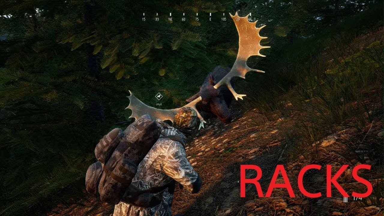 Hunting Simulator 2_2026