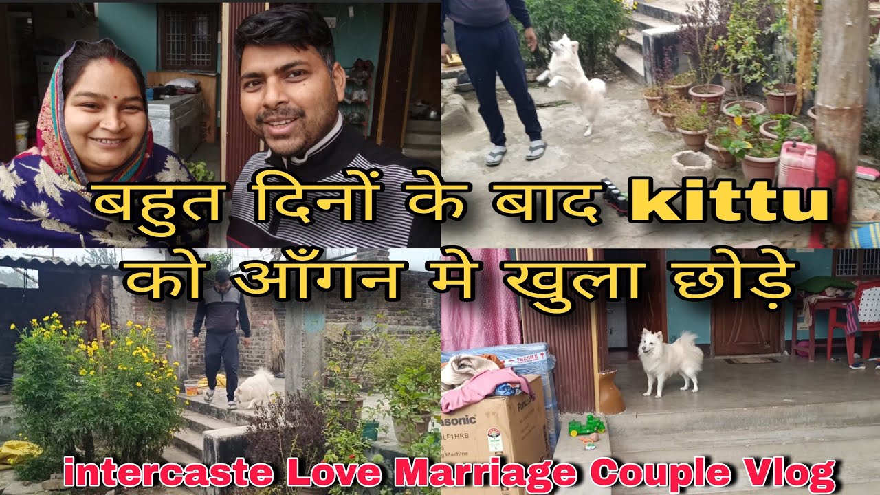 बहुत दिनों के बाद kittu को आँगन मे खुला छोड़े 😊#lovemarriage #couplevolgs #vlog #trendingvlog 