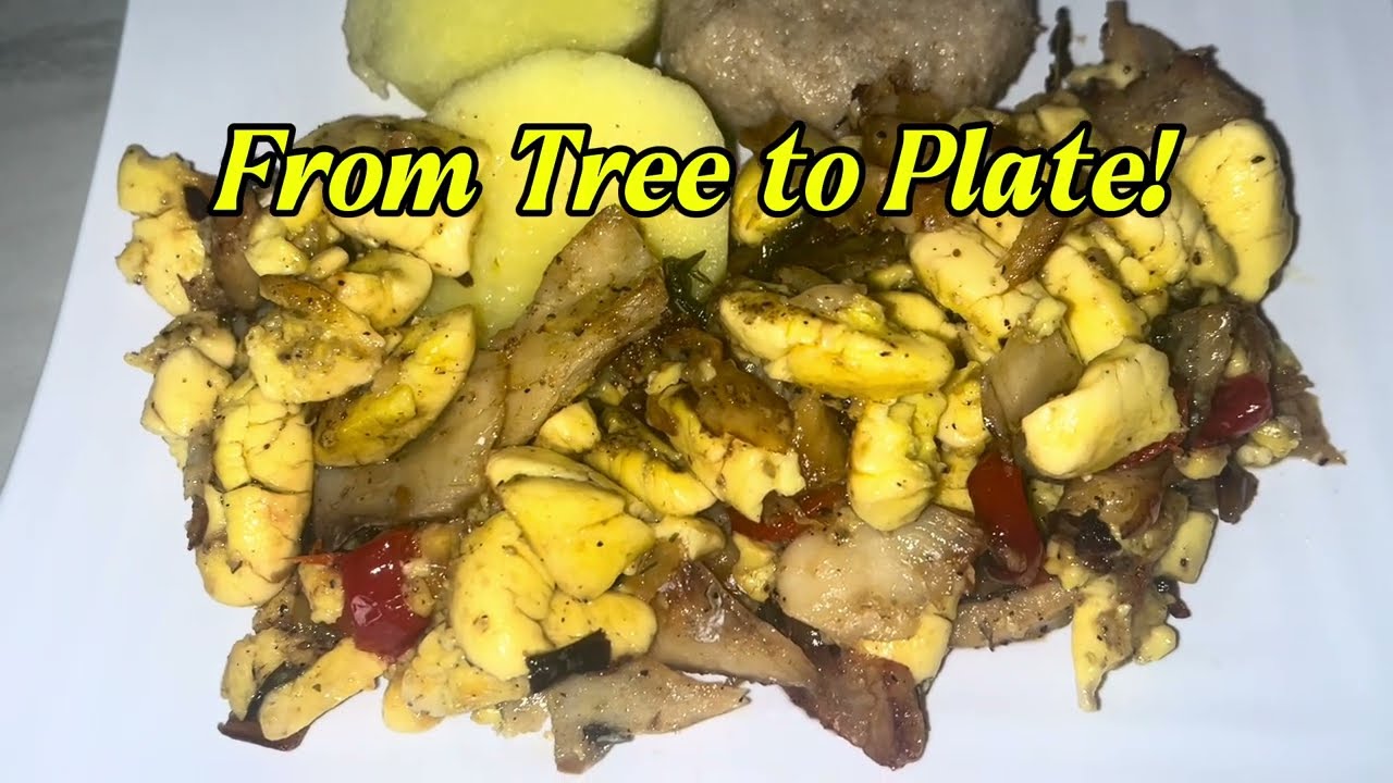 Ackee & Saltfish Jamaican Style 🇯🇲 | From Tree to Plate | Jamaica’s National Dish
