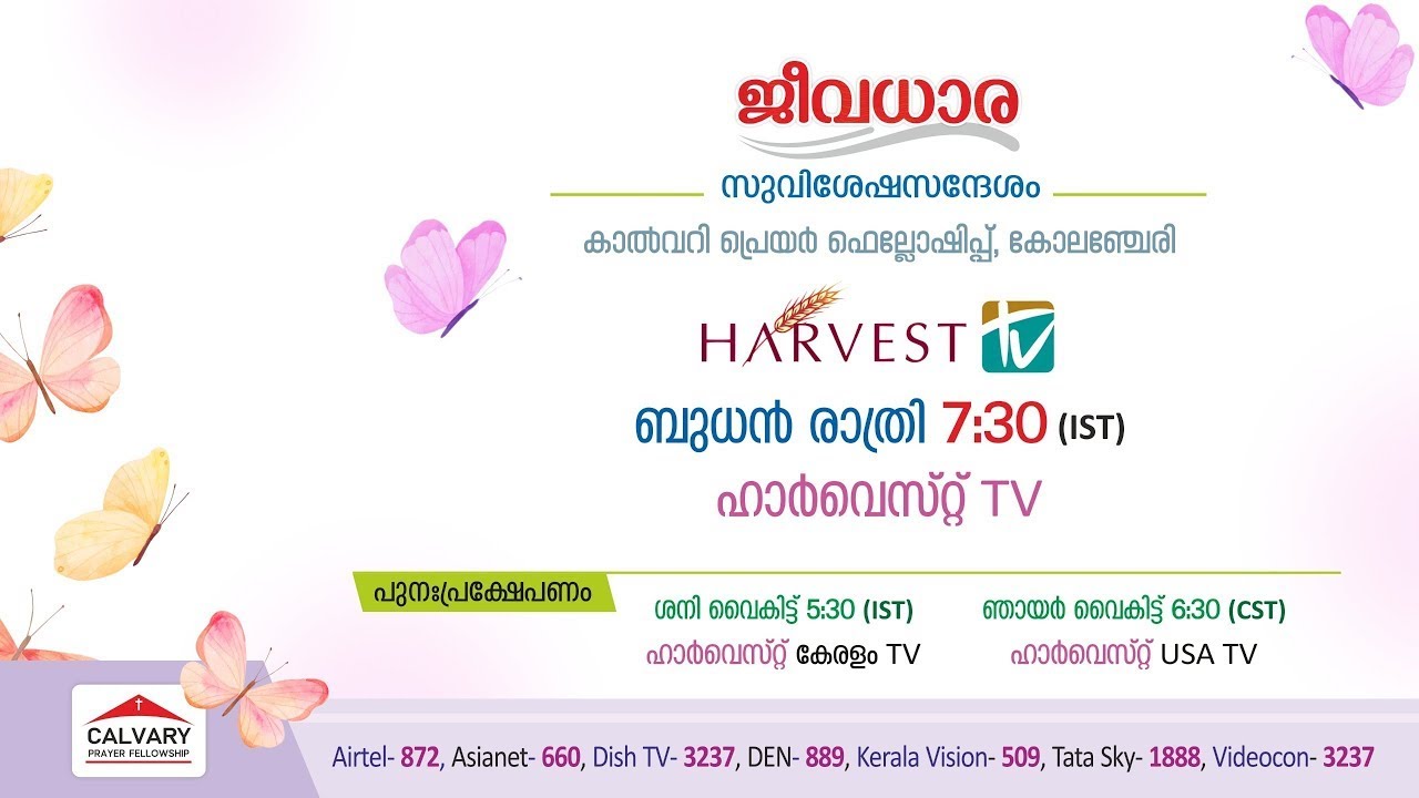 Calvary Prayer Fellowship | Harvest TV Program | 11 02 2026