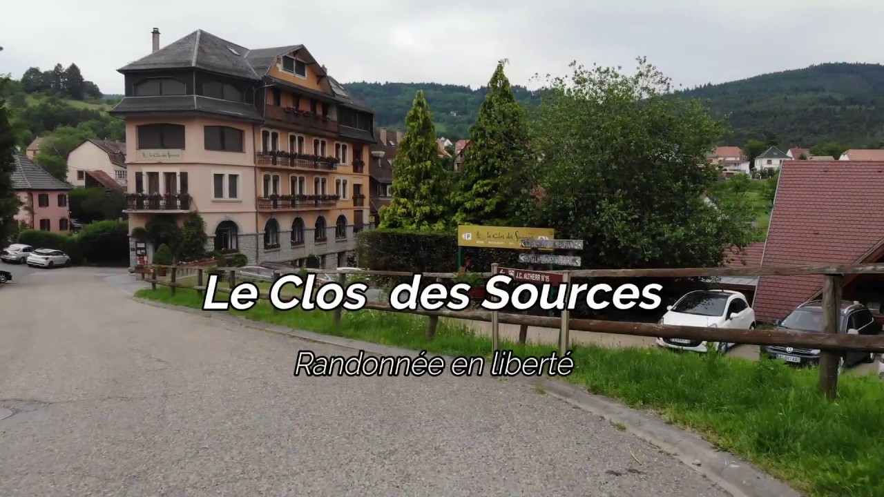 Balade dans le Massif du Taennchel (Alsace)