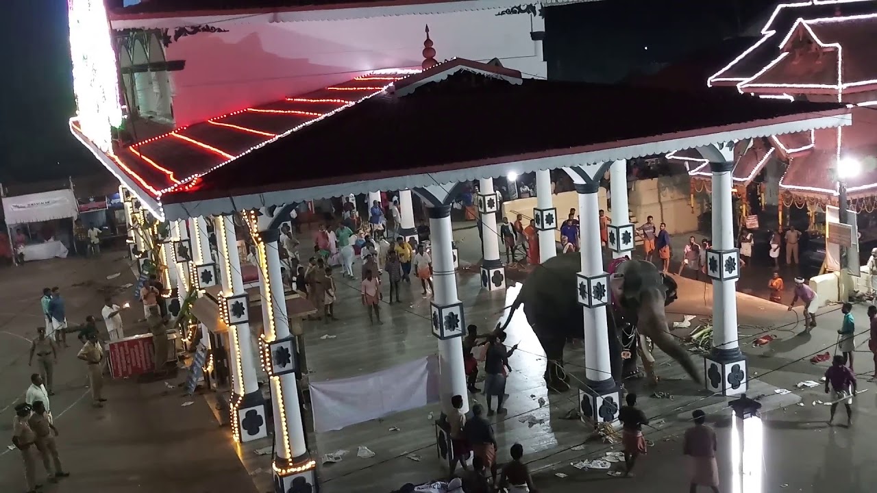 Ettumannor temple elephant attack 2018