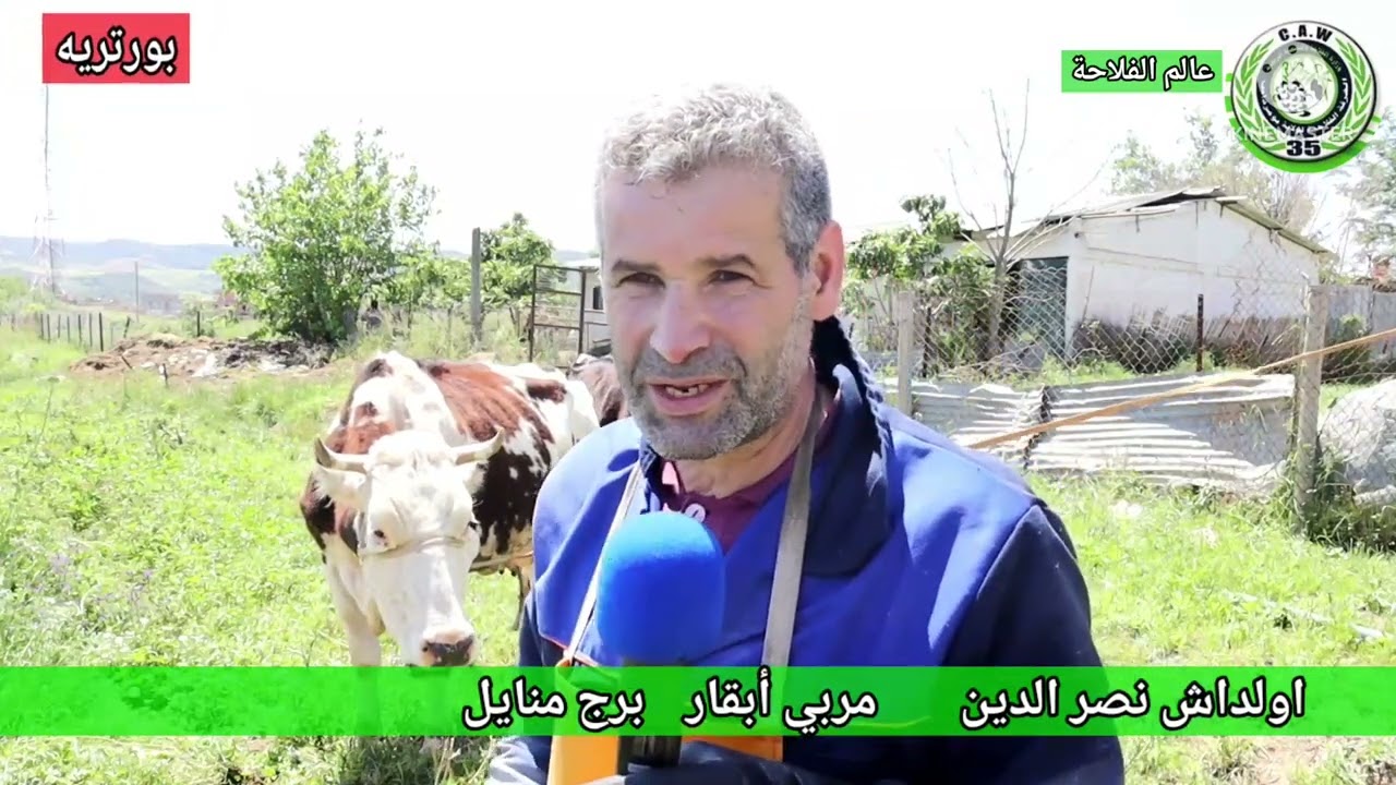 بورتريه تربية الأبقار   # الغرفة الفلاحية لولاية بومرداس