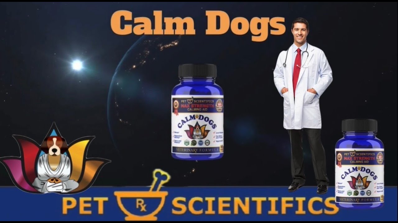 CALM DOGS &ldquo;The World&rsquo;s Best Calming Aid for Dog Anxiety&rdquo;