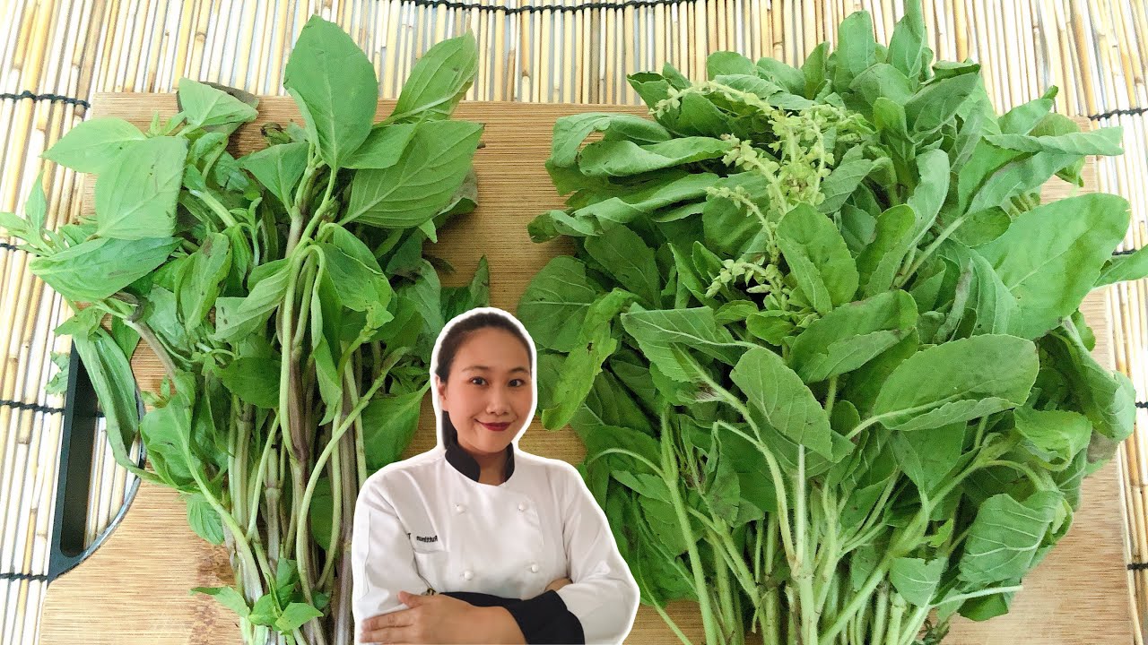 Kitchen Tips !! For Your Thai Herbs &bull; Sweet Basil & Holy Basil | ThaiChef food