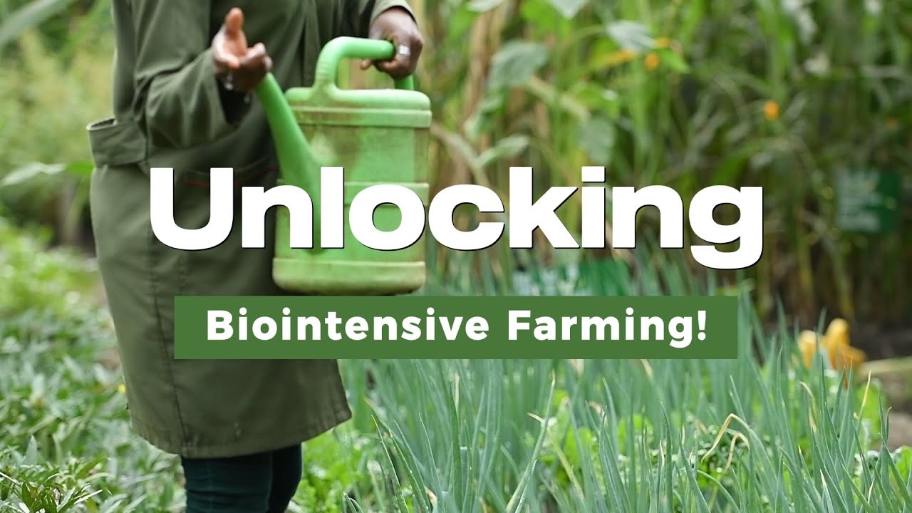 Unlocking Biointensive Agriculture: Key Principles for Thriving Gardens