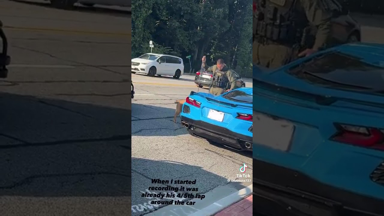 Leave Black People Alone. Man in Corvette With Son and Watch What Happens