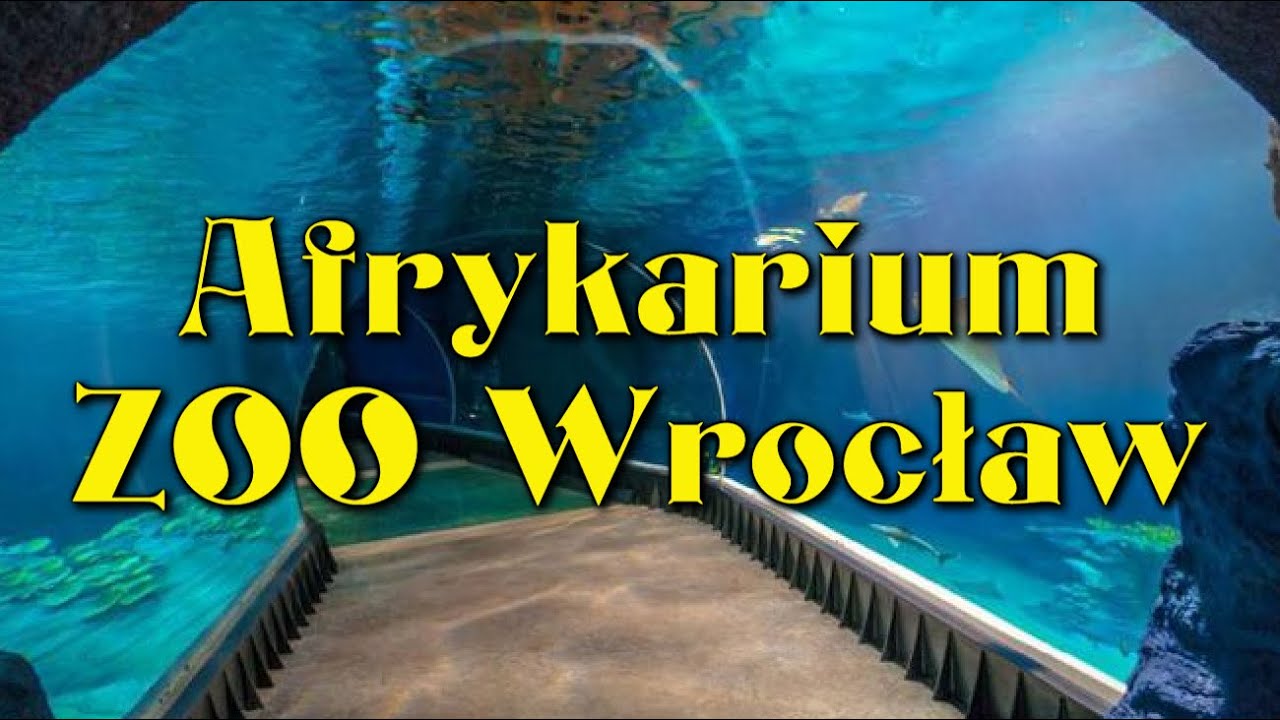 Fauna i Flora AFRYKI w AFRYKARIUM ZOO Wrocław