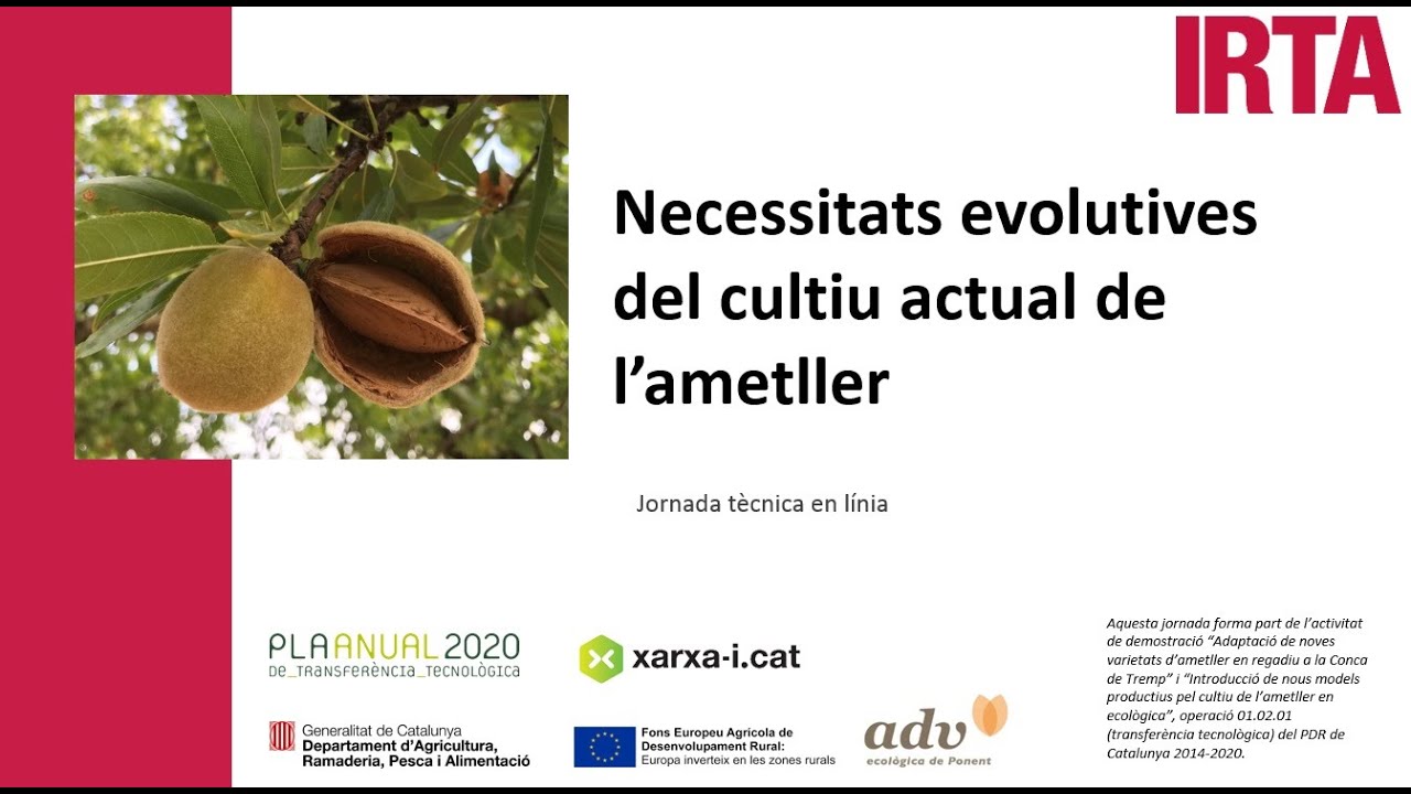 JORNADA NECESSITATS EVOLUTIVES DEL CULTIU DE L'AMETLLER  17 setembre