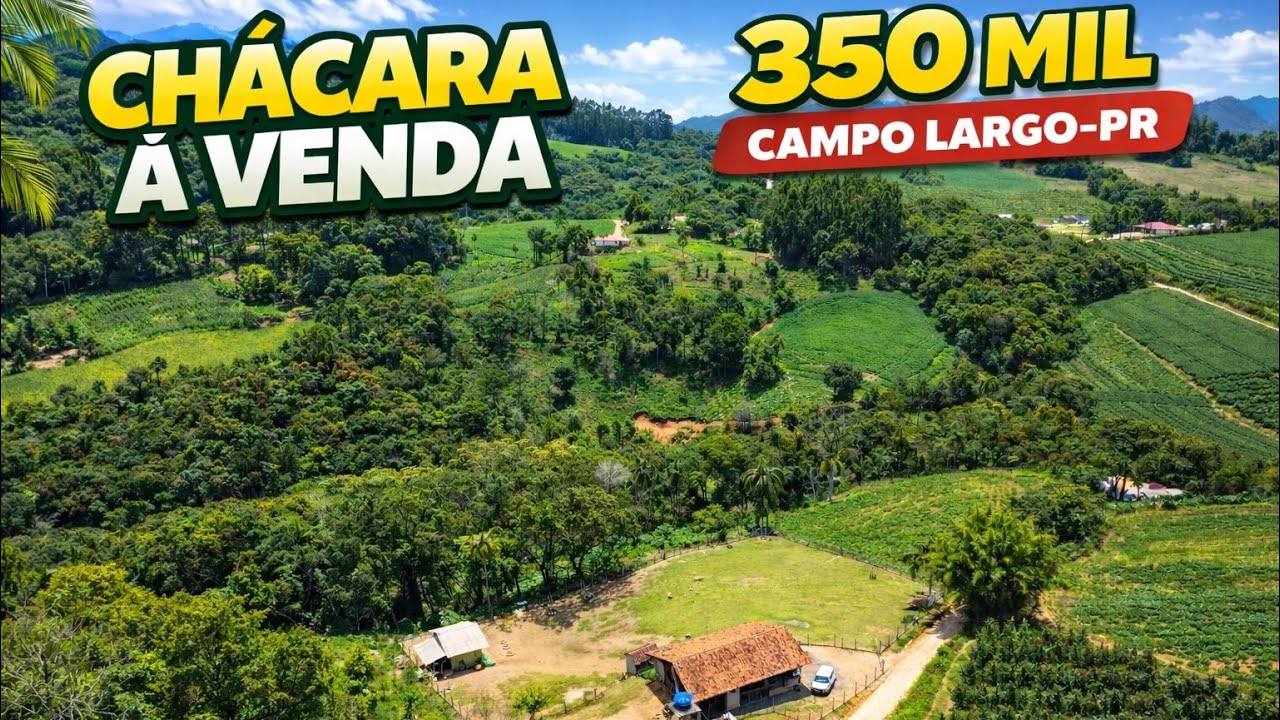 CHÁCARA À VENDA EM CAMPO LARGO – 10.000 m² | COM CÓRREGO | R$ 350 MIL