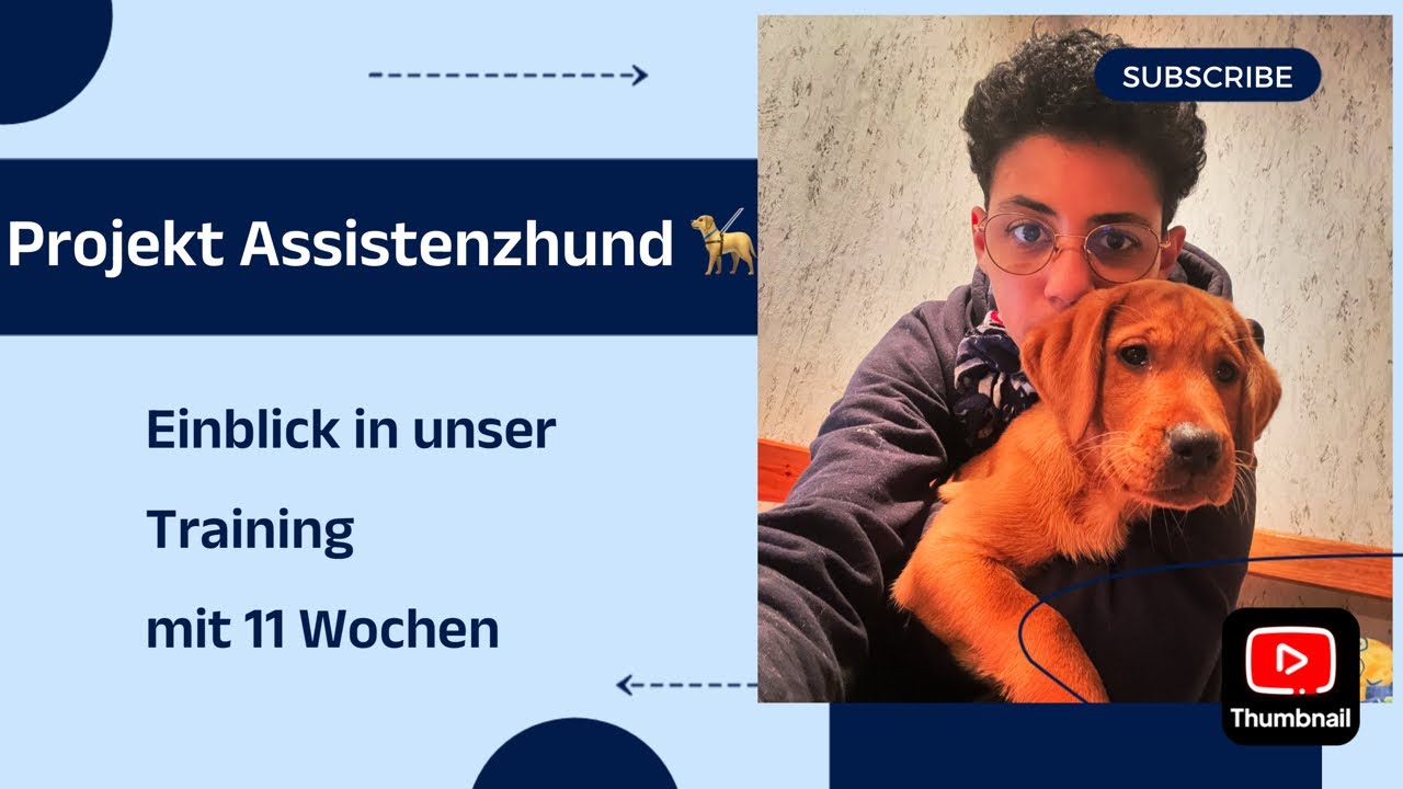 (11/24) Trainingseinblicke mit meinem 11 Woche alten Welpen 🐾