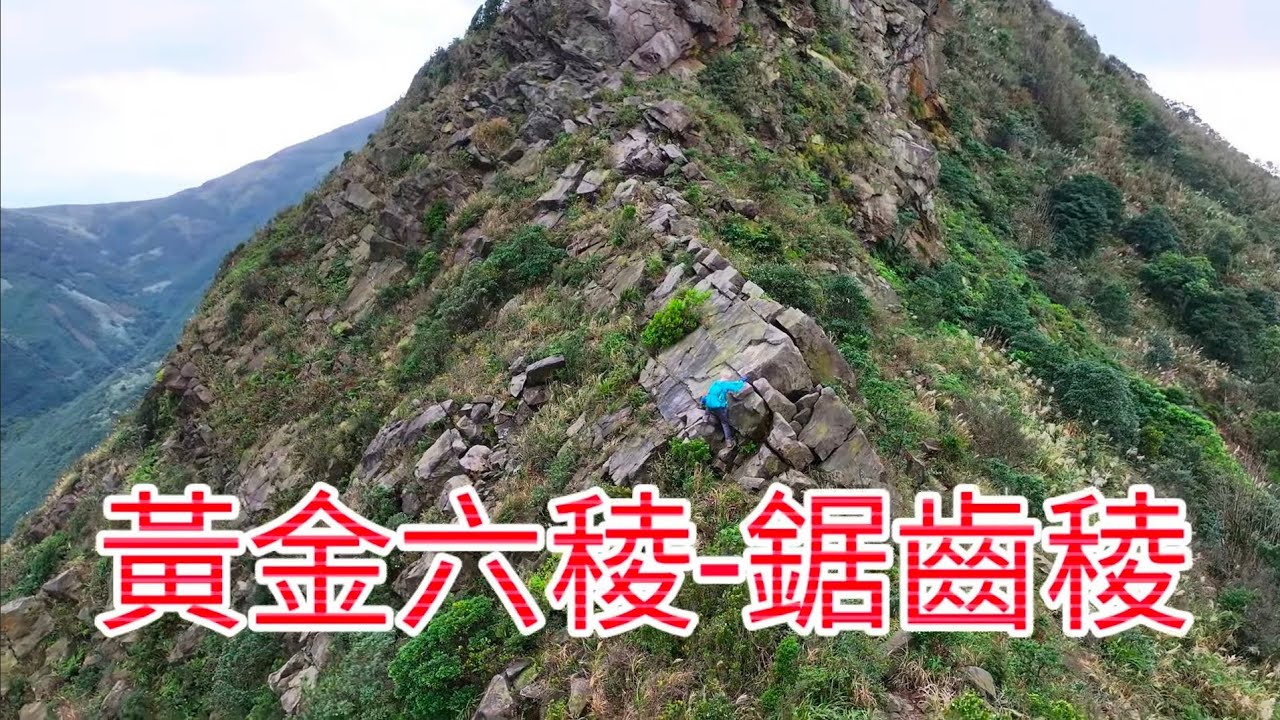 空拍#黃金六稜（#鋸齒稜）是北臺灣一條以險峻和美景著稱的登山路線，​被譽為「台灣郊山之王」，是黃金稜線中最經典且具挑戰性的路線之一