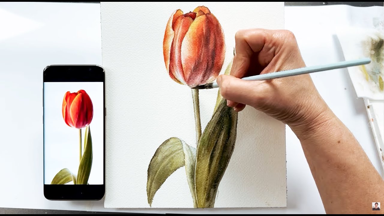 Как нарисовать Тюльпан? Пошаговый урок. /Tulip, step-by-step