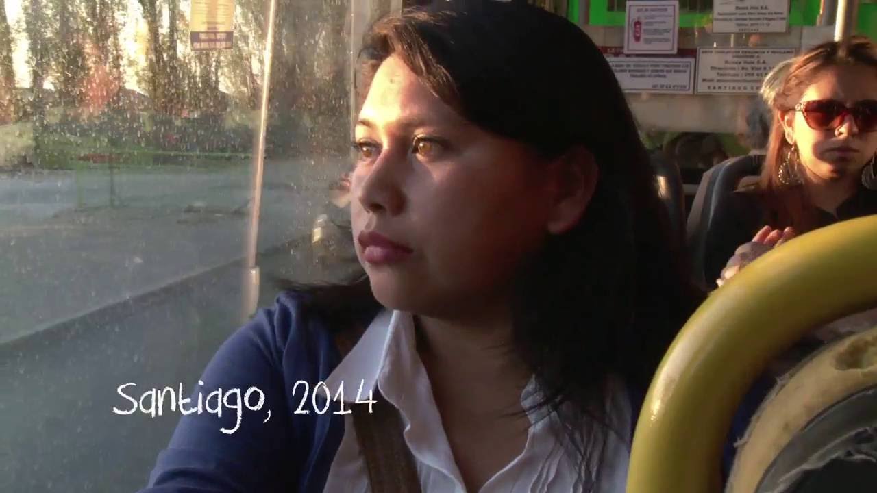 ¿Qué pasó con mi curso?