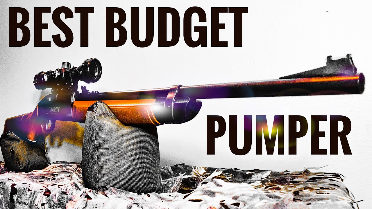 Best Budget Pump Airgun - Crosman 2100