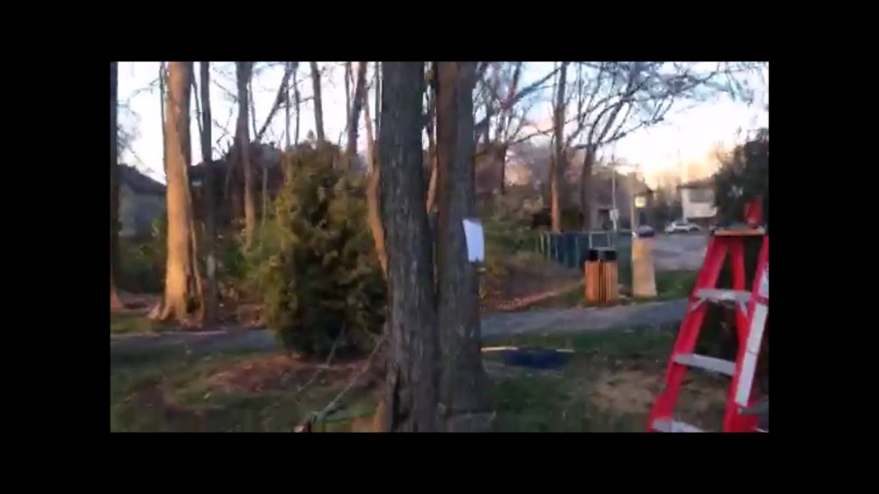 The squirrel does not always drop the GoPro...