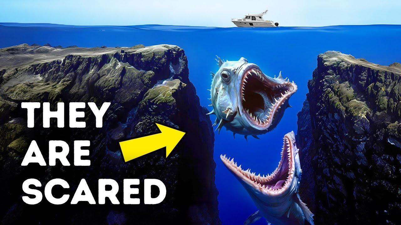 Why No Scientist Wants to Explore the Mariana Trench Again