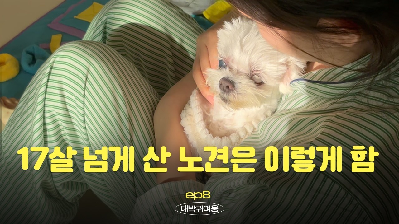 오래사는 강아지들의 5가지 공통점 !