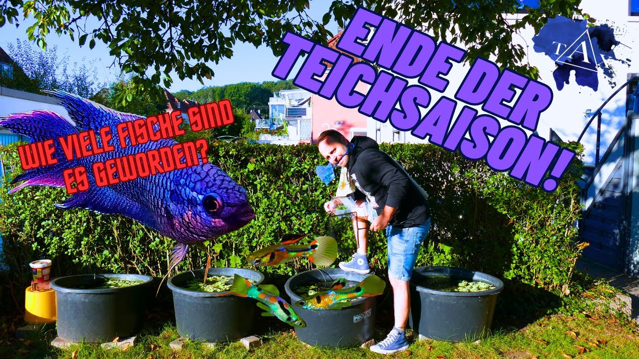 Das ENDE der TEICHSAISON! I TAX