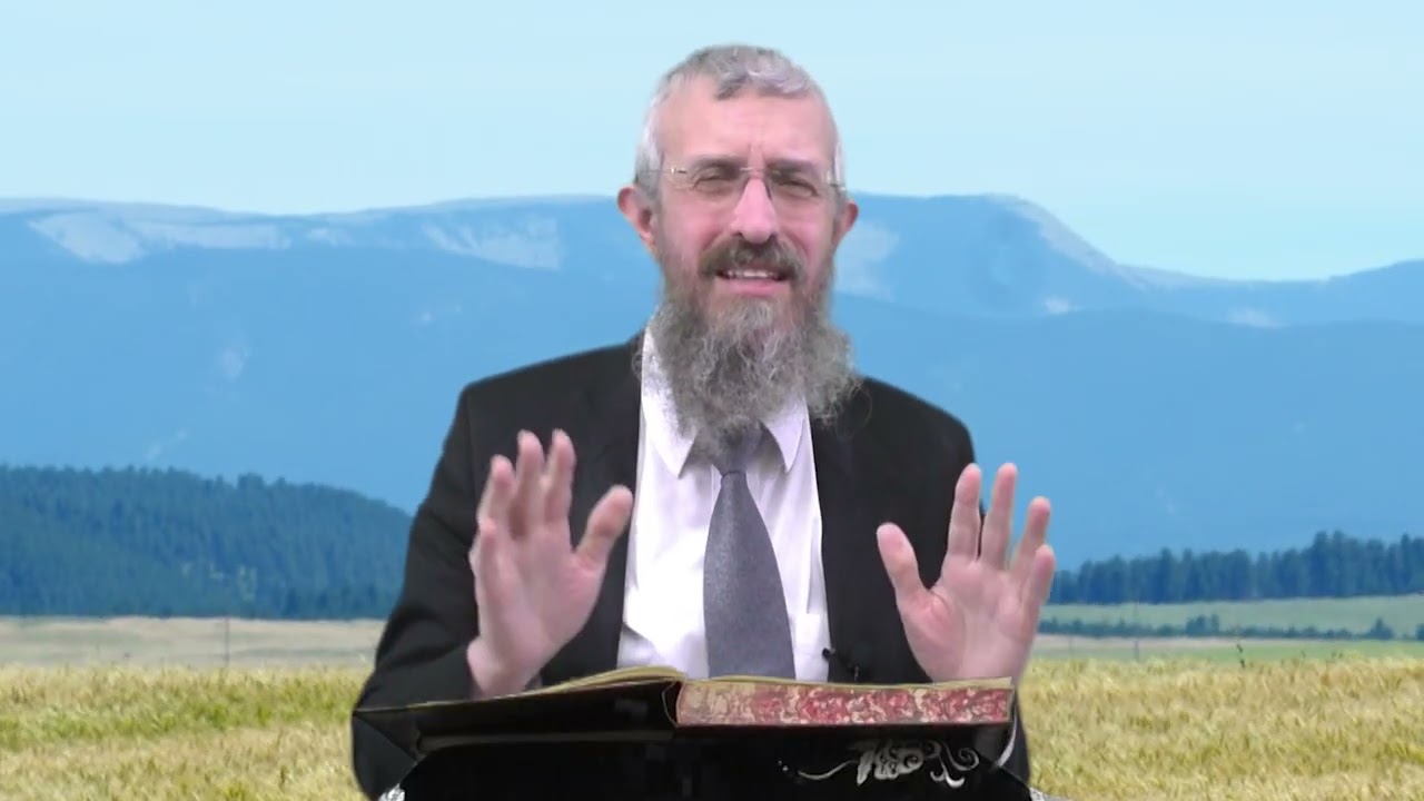מסכת מנחות דף י - 8 דקות של לומדות ועמקות בדרך הלימוד הישיבתית [Menachot 10]