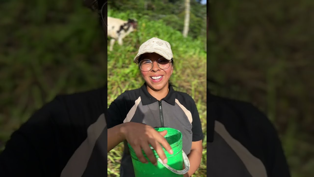 Estas son mis vacas lecheras y ya están preñadas Parte 2