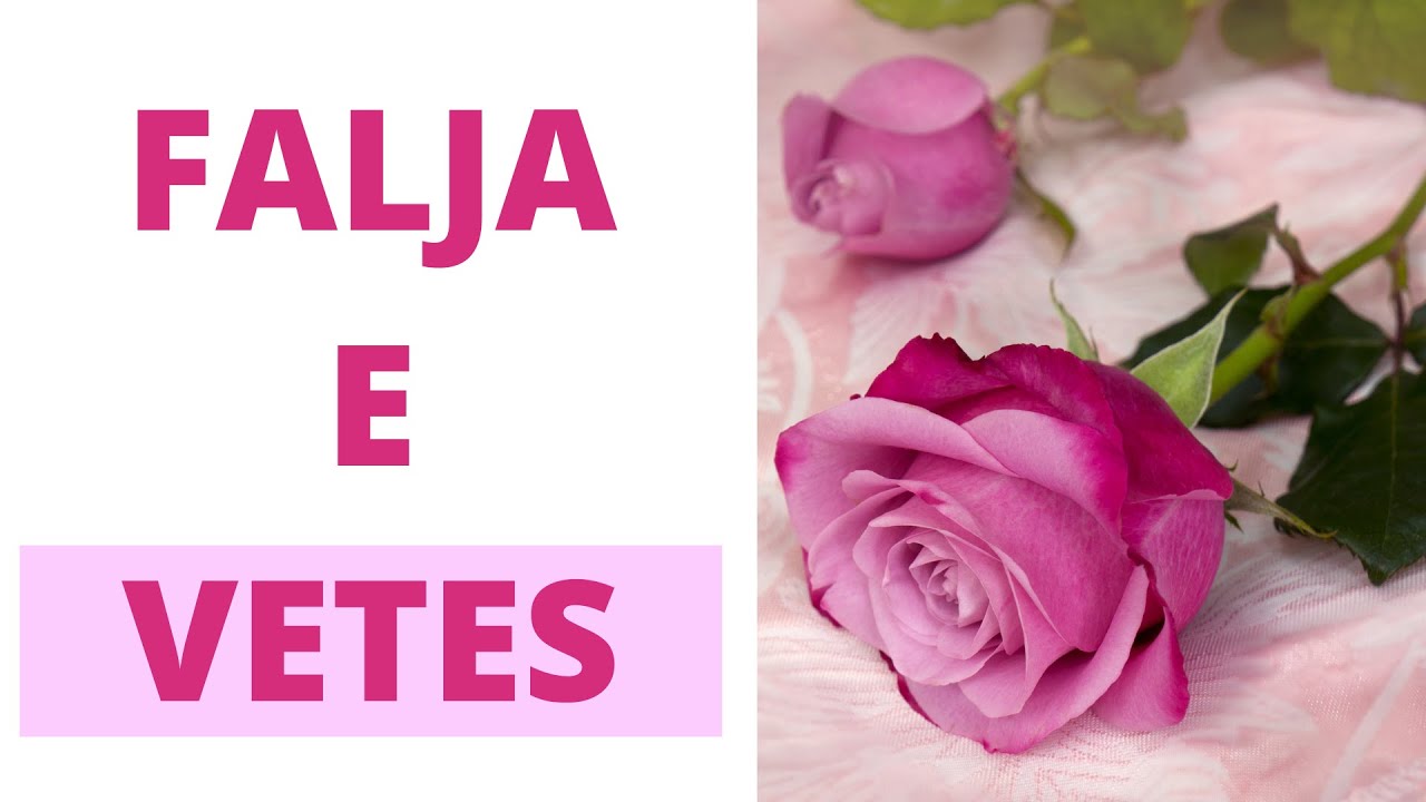 Meditimi 8 “Falja e Vetes” - Programi ne Instagram Live 