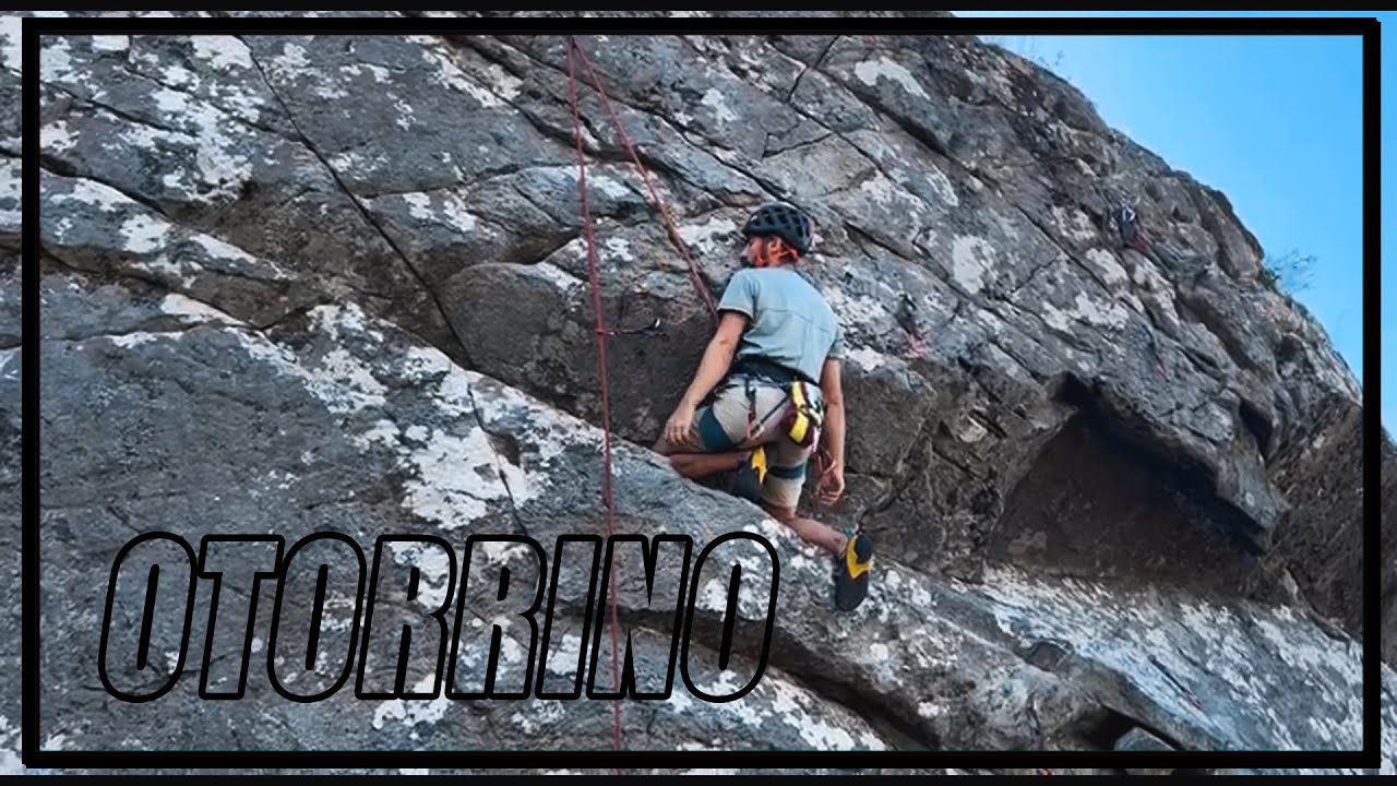 Otorrino (6c) | Galiñeiro