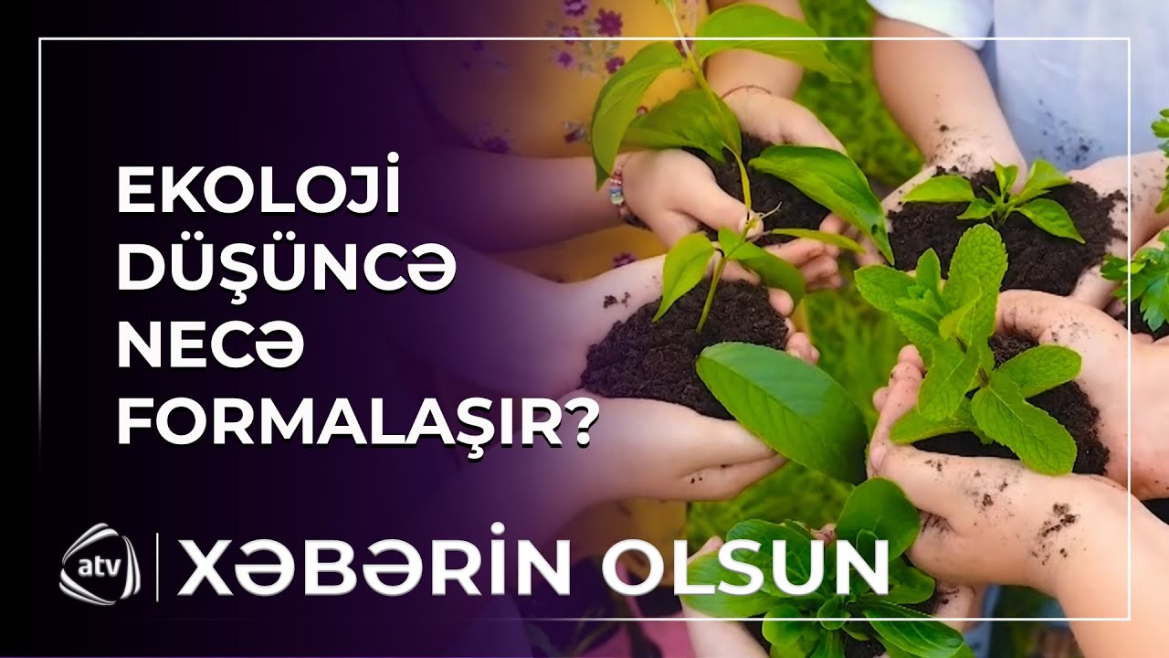 Məktəblərdə ekoloji maarifləndirmə aparılırmı? / Xəbərin olsun