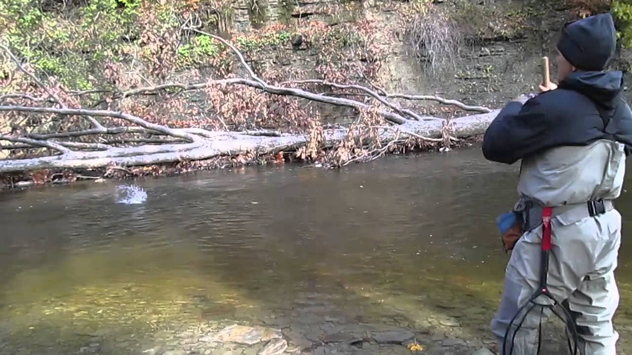 Erie steelhead fishing - Craig fishing single eggs