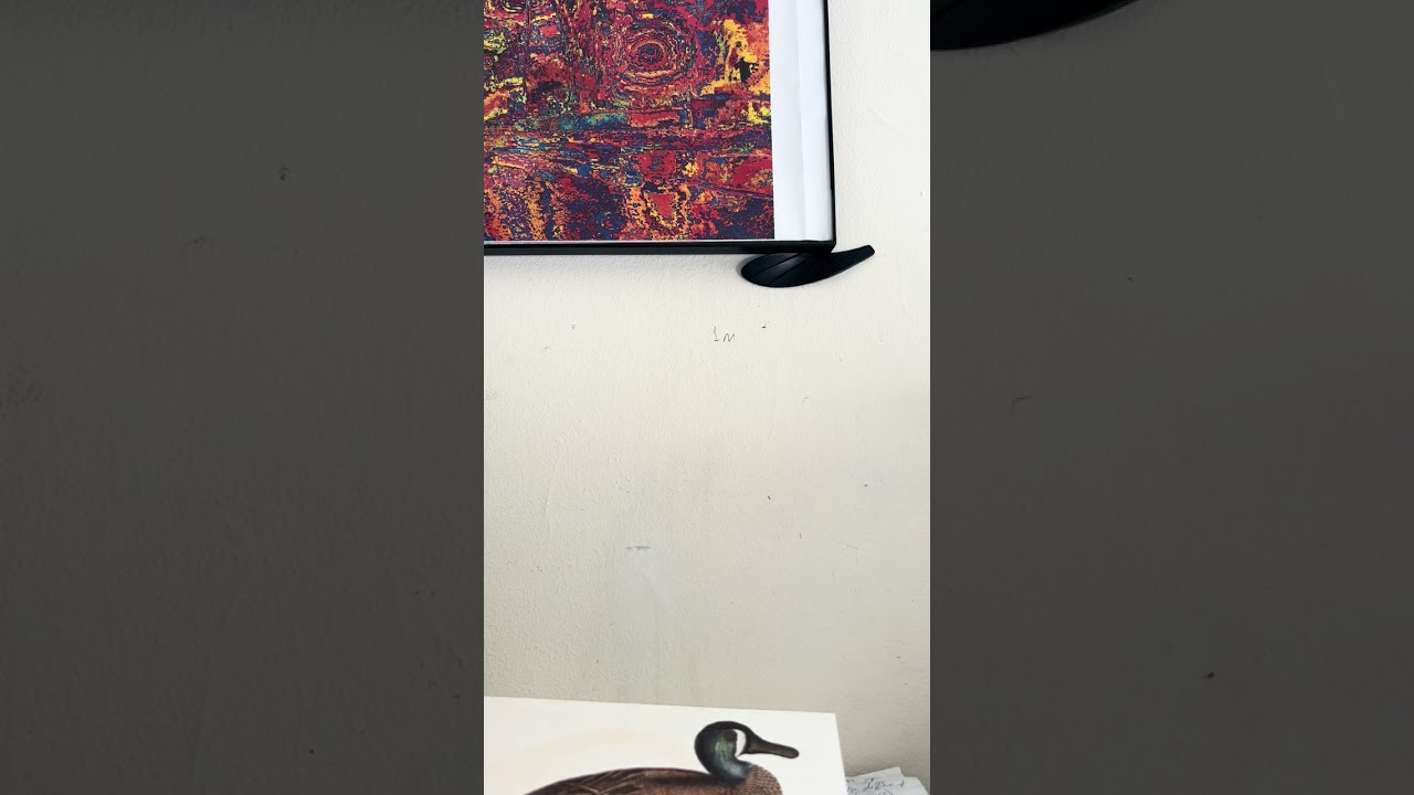 Blog 37