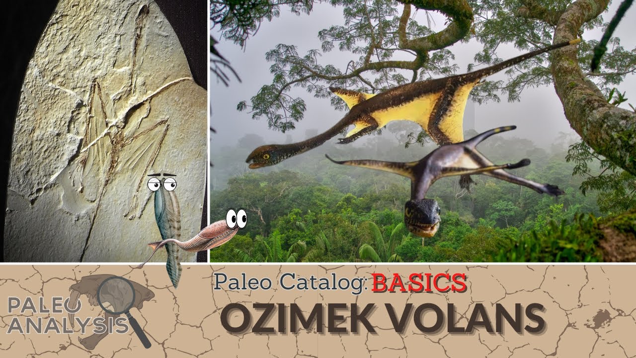Paleo Catalog Basics: Ozimek