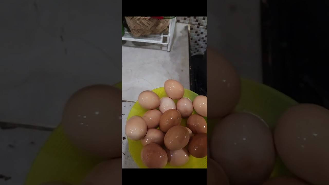 Part 2 telor asin ayam 