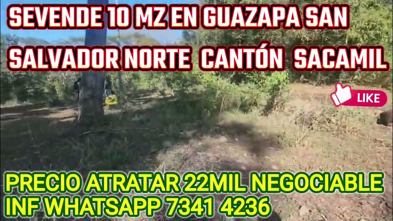 Sevende esta propiedad 