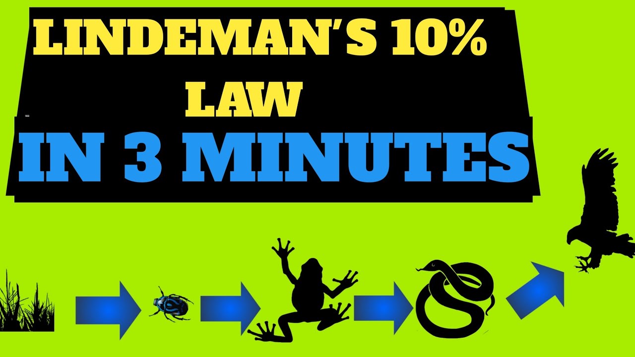 Ten percent law | Energy transfer in trophic levels | Lindeman's 10% law | 2020.