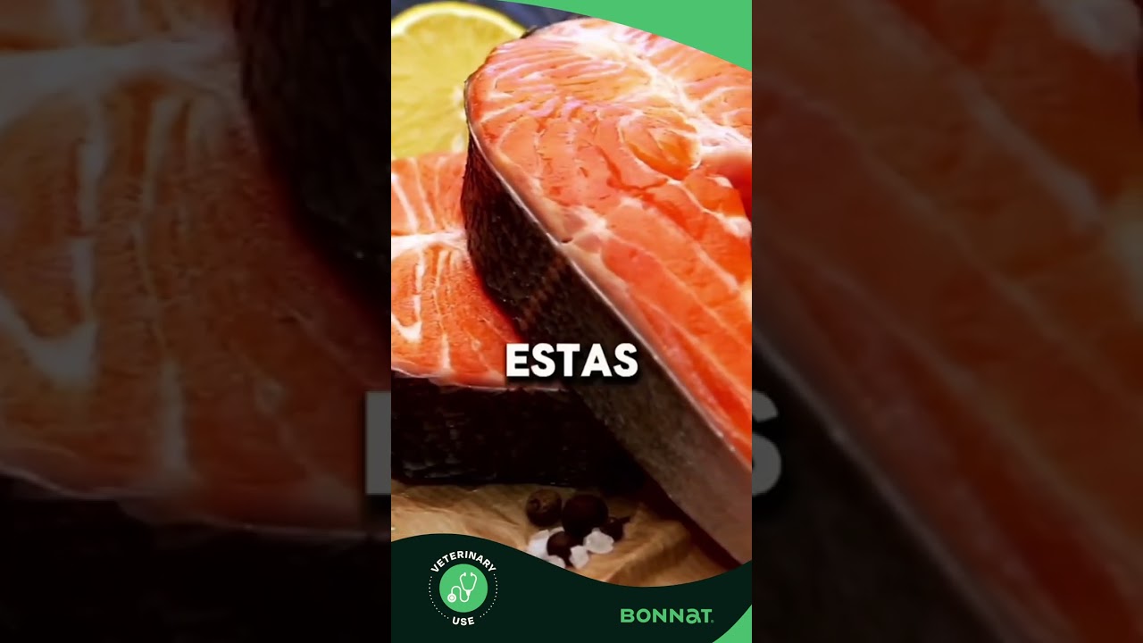 Dieta Hipoalerg&eacute;nica de Bonnat para Gatos | Dr. Negrette Explica
